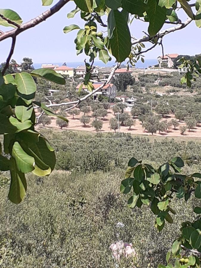 Вилла Il Giardino Degli Ulivi Читта Сань Анджело Экстерьер фото