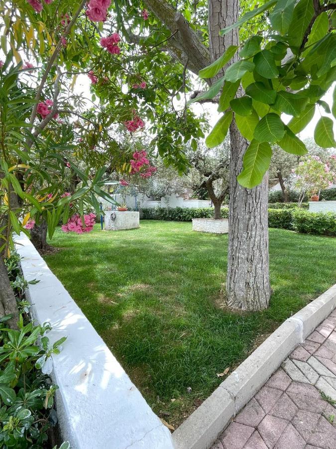 Вилла Il Giardino Degli Ulivi Читта Сань Анджело Экстерьер фото